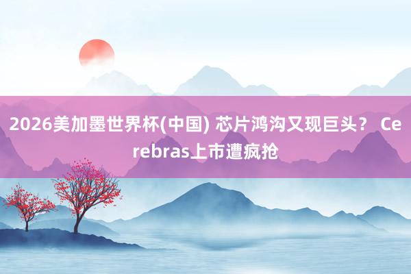 2026美加墨世界杯(中國) 芯片鴻溝又現巨頭? Cerebras上市遭瘋搶