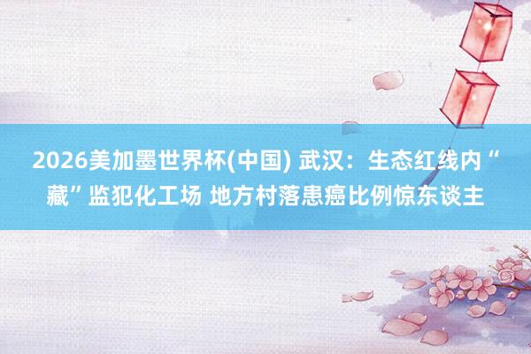 2026美加墨世界杯(中國) 武漢：生態紅線內“藏”監犯化工場 地方村落患癌比例驚東談主