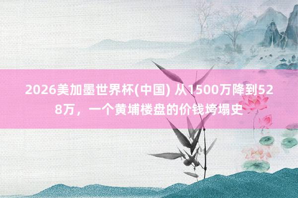 2026美加墨世界杯(中國) 從1500萬降到528萬,一個(gè)黃埔樓盤的價(jià)錢垮塌史