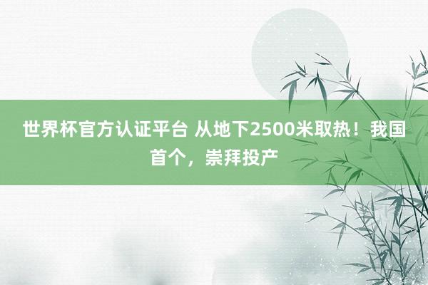 世界杯官方認(rèn)證平臺(tái) 從地下2500米取熱！我國(guó)首個(gè)，崇拜投產(chǎn)