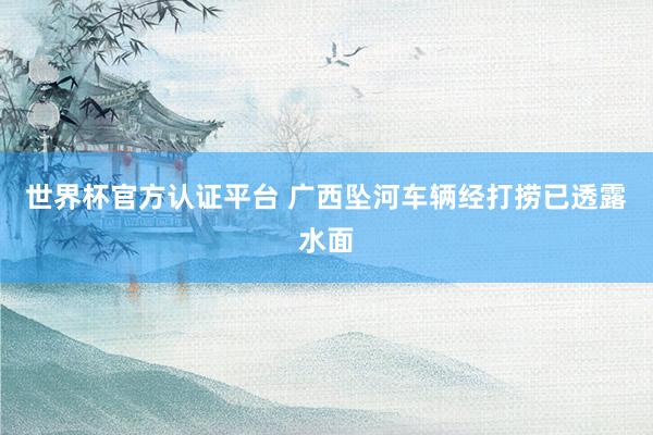 世界杯官方認證平臺 廣西墜河車輛經打撈已透露水面