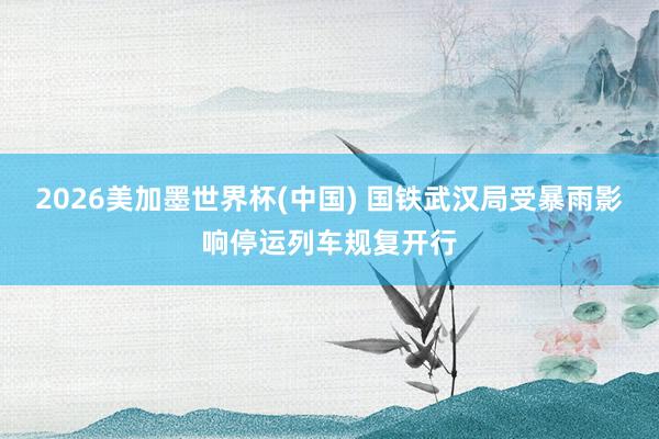 2026美加墨世界杯(中國) 國鐵武漢局受暴雨影響停運(yùn)列車規(guī)復(fù)開行