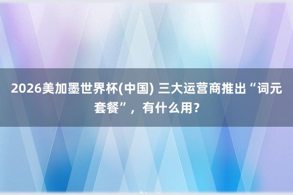 2026美加墨世界杯(中國(guó)) 三大運(yùn)營(yíng)商推出“詞元套餐”,有什么用?