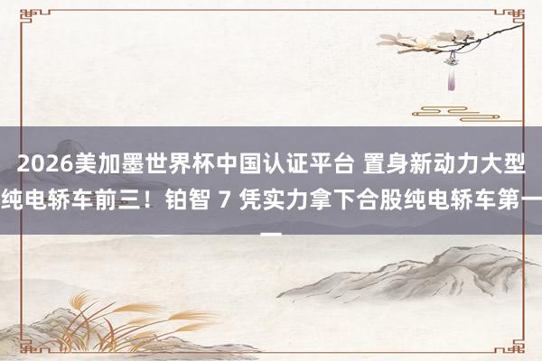 2026美加墨世界杯中國認證平臺 置身新動力大型純電轎車前三！鉑智 7 憑實力拿下合股純電轎車第一